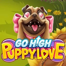 Go High Puppy Love – slot by RubyPlay, featured at slimking-casino.eu
